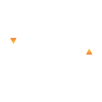 icon-vnea